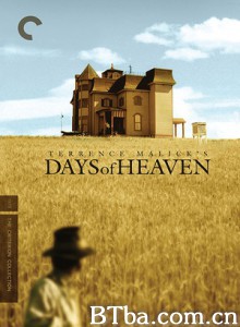 天堂之日/梦断情天/梦断天涯/Days of Heaven-720p|1080p高清bt种子下载