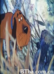 最后的狩猎/Last Hunt-720p|1080p高清bt种子下载