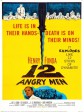 十二怒汉/12怒汉/12 Angry Men