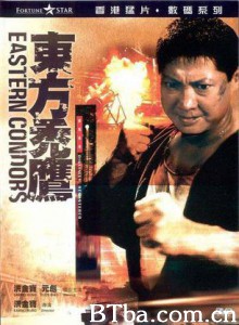 东方秃鹰/Eastern Condors 东方秃鹰/Eastern Condors-720p|1080p高清bt种子下载