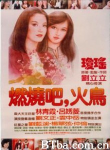 燃烧吧，火鸟-720p|1080p高清bt种子下载
