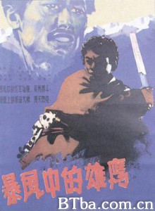 暴风中的雄鹰/暴风雨中的雄鹰/Eagles in the Storm-720p|1080p高清bt种子下载