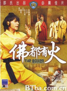 疯子奇招/The Boxer from the Temple-720p|1080p高清bt种子下载