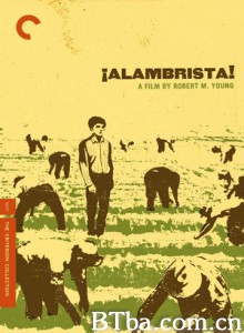 阿兰布里斯塔/非法移民/Alambrista-720p|1080p高清bt种子下载