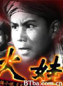 火娃-720p|1080p高清bt种子下载