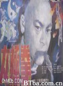 太极拳/太极神功/Secret of Tai Chi-720p|1080p高清bt种子下载