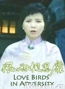 风雨相思雁-720p|1080p高清bt种子下载