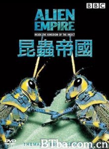 昆虫帝国-720p|1080p高清bt种子下载