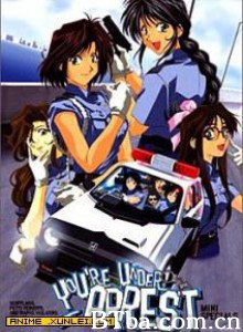 逮捕令OVA/You're Under Arrest/Taiho shichauzo-720p|1080p高清bt种子下载