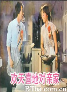 欢天喜地对亲家 欢天喜地对亲家-720p|1080p高清bt种子下载