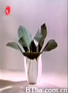 一棵大白菜-720p|1080p高清bt种子下载