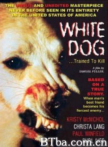 白狗/魔犬(台)/White Dog-720p|1080p高清bt种子下载