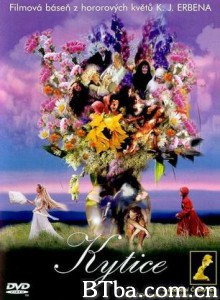 野花/Wild Flowers-720p|1080p高清bt种子下载