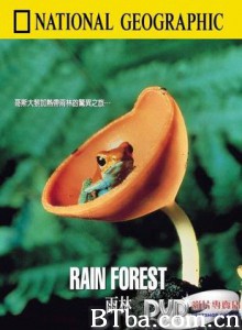 雨林-720p|1080p高清bt种子下载