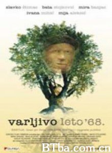 1968年困惑的夏天/The Elusive Summer of '68-720p|1080p高清bt种子下载