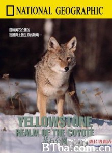 黄石公园:土狼的王国 黄石公园:土狼的王国-720p|1080p高清bt种子下载
