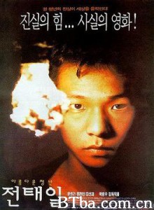 美丽青年全泰壹/A Single Spark/美丽青年全泰一-720p|1080p高清bt种子下载