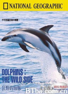 国家地理百年纪念:狂野的海豚 国家地理百年纪念:狂野的海豚-720p|1080p高清bt种子下载