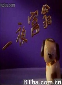 一夜富翁 一夜富翁-720p|1080p高清bt种子下载