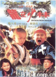 龙在少林/Dragon in Shaolin-720p|1080p高清bt种子下载