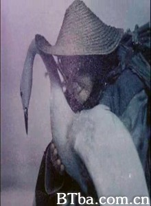 鹤之羽/染血的羽毛-720p|1080p高清bt种子下载