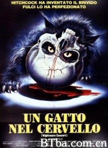 大脑中的猫/A Cat in the Brain/Nightmare Concert-720p|1080p高清bt种子下载