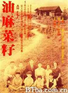 油麻菜籽/Ah Fei-720p|1080p高清bt种子下载