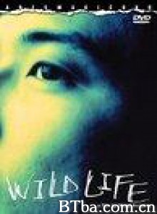 狂野的生活/Wild Life/复活的野性-720p|1080p高清bt种子下载