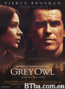 灰色夜枭/格雷・奥尔/灰枭 灰色夜枭/格雷・奥尔/灰枭-720p|1080p高清bt种子下载