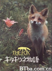 狐狸的故事/Story of the Northern Fox/The Glacier Fox-720p|1080p高清bt种子下载