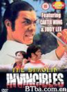 雍正命丧少林门/Shaolin Invincibles 雍正命丧少林门/Shaolin Invincibles-720p|1080p高清bt种子下载