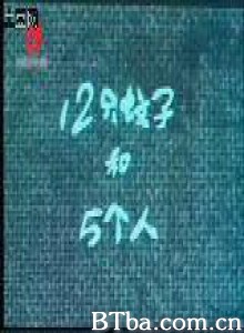 12只蚊子和5个人/十二只蚊子和五个人 12只蚊子和5个人/十二只蚊子和五个人-720p|1080p高清bt种子下载