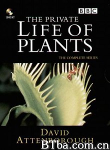 植物私生活/植物的另类生活 植物私生活/植物的另类生活-720p|1080p高清bt种子下载