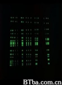 Mosaic Mosaic-720p|1080p高清bt种子下载