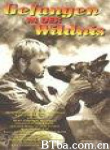 野性的呼唤/Call of the Wild-720p|1080p高清bt种子下载