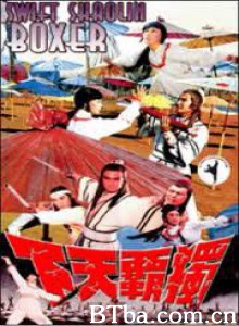 独霸天下/Swift Shaolin Boxer-720p|1080p高清bt种子下载