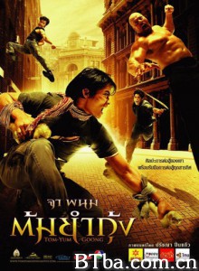 冬荫功/Tom Yum Goong/The Protector-720p|1080p高清bt种子下载