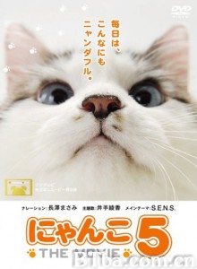 猫咪物语5-720p|1080p高清bt种子下载