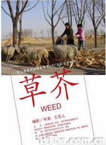 草芥/Weed 草芥/Weed-720p|1080p高清bt种子下载