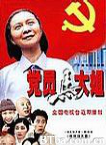 党员马大姐-720p|1080p高清bt种子下载
