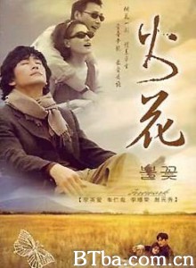 火花/Firework 火花/Firework-720p|1080p高清bt种子下载