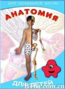 解剖男孩 解剖男孩-720p|1080p高清bt种子下载