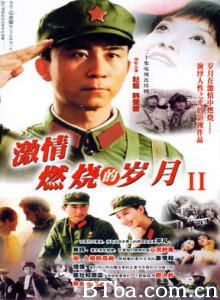 激情燃烧的岁月2-720p|1080p高清bt种子下载