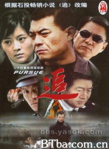 追/Pursue 追/Pursue-720p|1080p高清bt种子下载