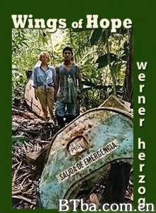 希望的翅膀/Wings of Hope-720p|1080p高清bt种子下载