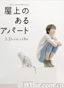 屋顶的公寓/有屋顶平台的公寓-720p|1080p高清bt种子下载