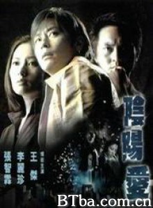 阴阳爱/Yin yang ai-720p|1080p高清bt种子下载