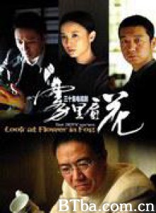 雾里看花/Look at Flower in Fog 雾里看花/Look at Flower in Fog-720p|1080p高清bt种子下载