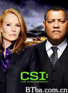 犯罪现场调查第十一季/犯罪现场：拉斯维加斯 第十一季/CSI犯罪现场(台) 第十一季-720p|1080p高清bt种子下载