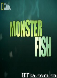 国家地理:寻找超级大鱼-前进亚马逊-720p|1080p高清bt种子下载